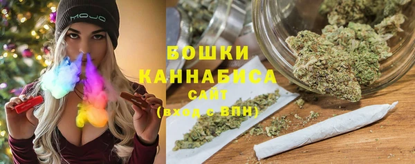 амф Осташков