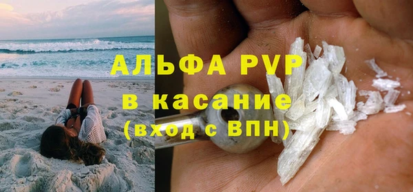 амф Осташков