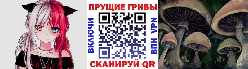купить наркотик  Инза  Псилоцибиновые грибы мицелий 