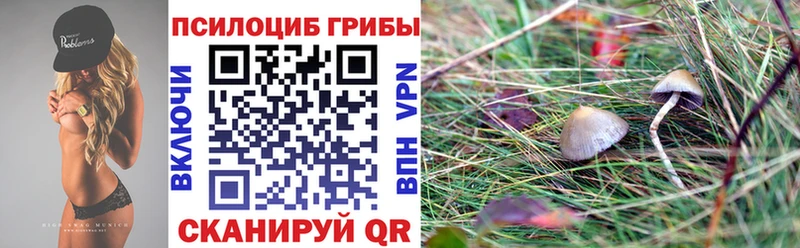 Псилоцибиновые грибы ЛСД Инза